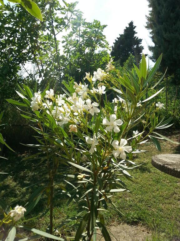 Basisa Bed&Breakfast San Lazzaro di Savena Eksteriør bilde