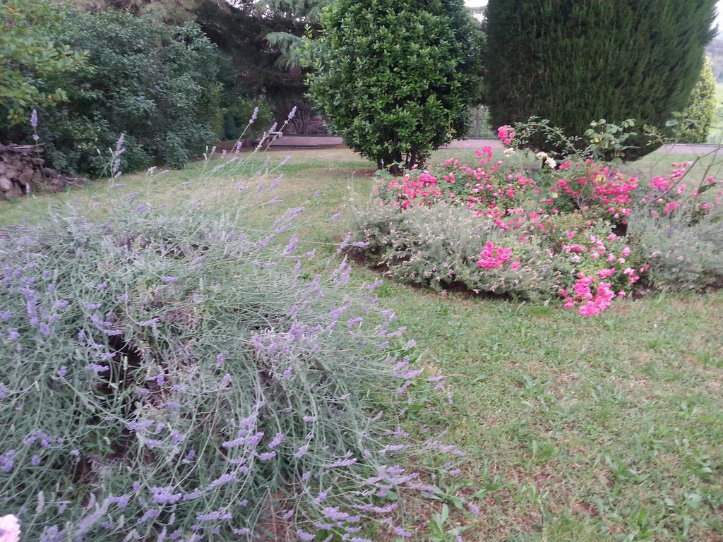 Basisa Bed&Breakfast San Lazzaro di Savena Eksteriør bilde