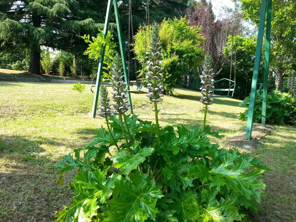 Basisa Bed&Breakfast San Lazzaro di Savena Eksteriør bilde