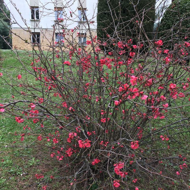 Basisa Bed&Breakfast San Lazzaro di Savena Eksteriør bilde